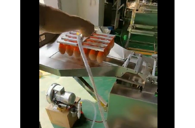 08-真空吸盤上蛋機-雙排敲蛋-蛋清蛋黃分離機