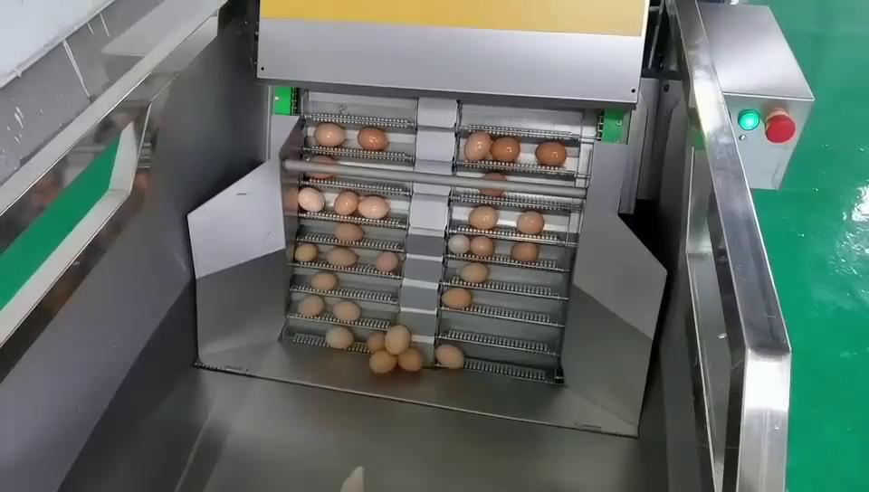 05-水中上蛋-敲蛋-蛋清蛋黃分離組合