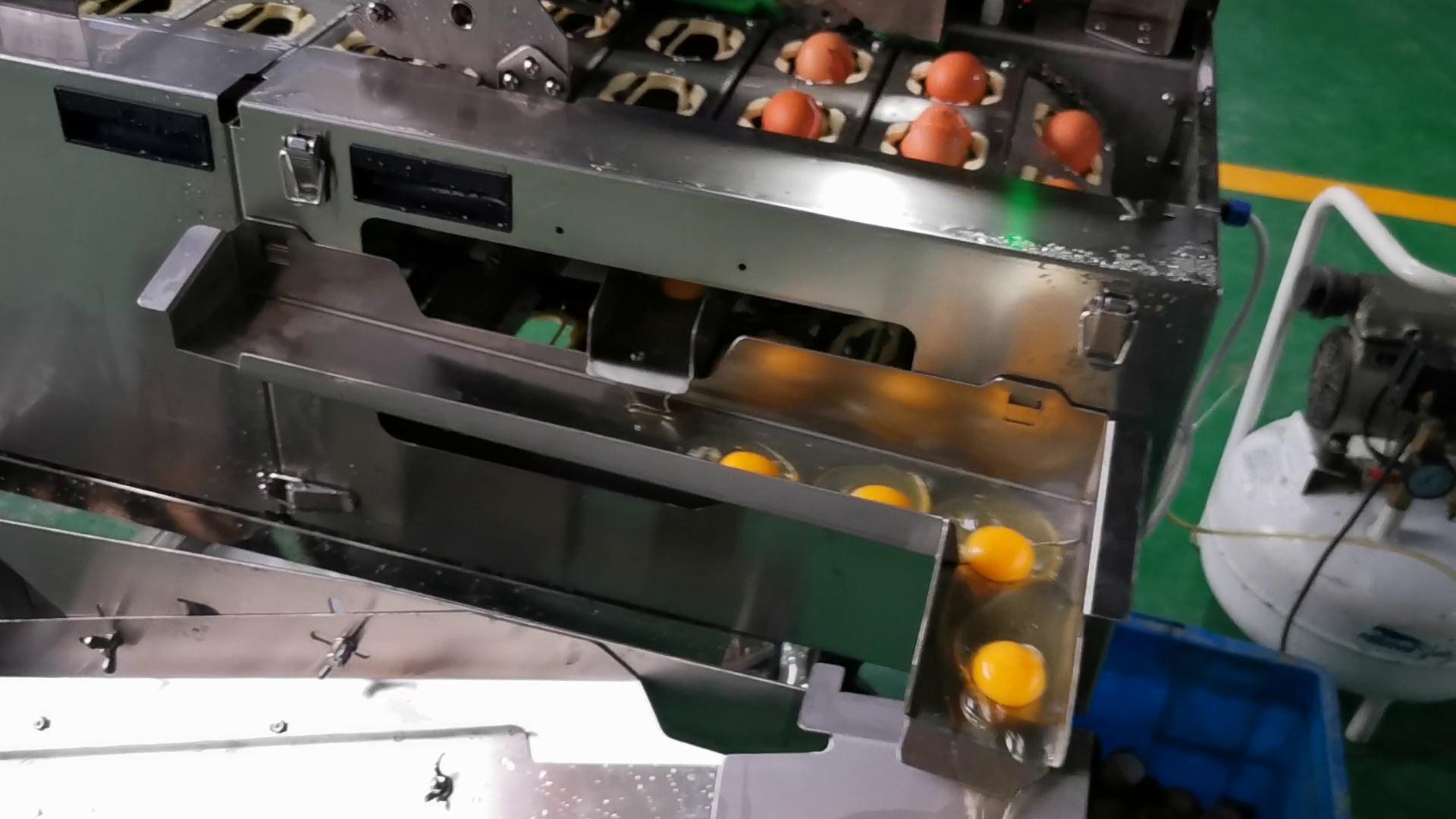 四聯(lián)式敲蛋機(jī)-雙排磕蛋-蛋清蛋黃分離翻斗-試機(jī)