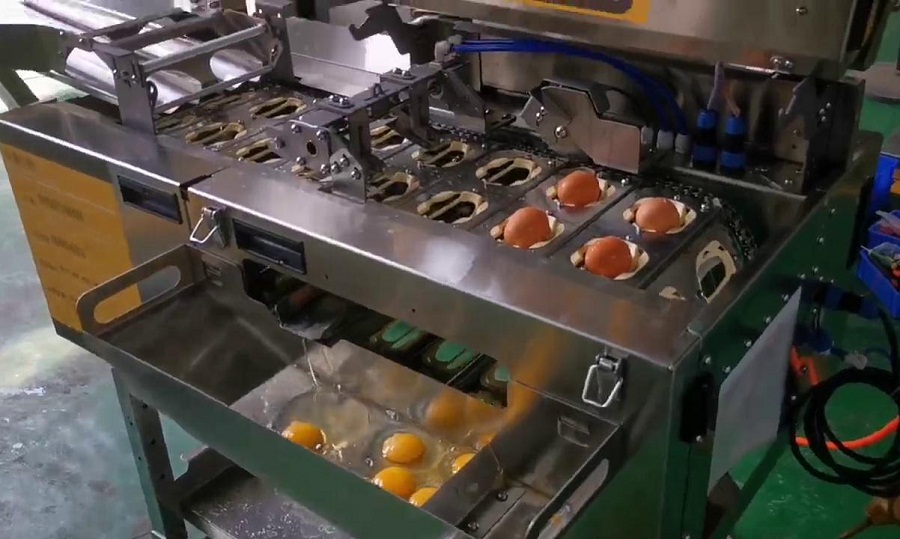 四聯(lián)式敲蛋機(jī)-雙排磕蛋-全蛋液-試機(jī)（原廠）