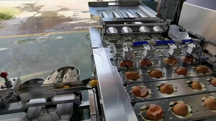 四聯(lián)式敲蛋機-四排破蛋-單機-按壓式分離（雞蛋）