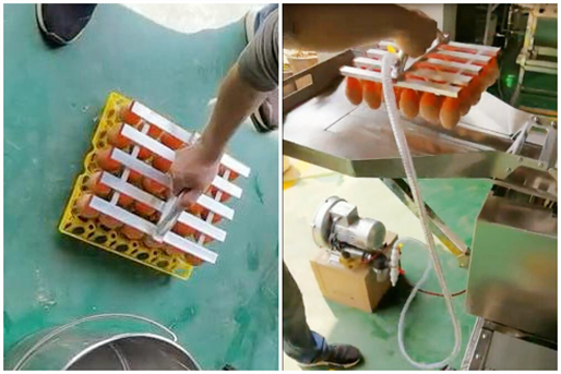 真空吸盤上蛋機(jī)實操圖