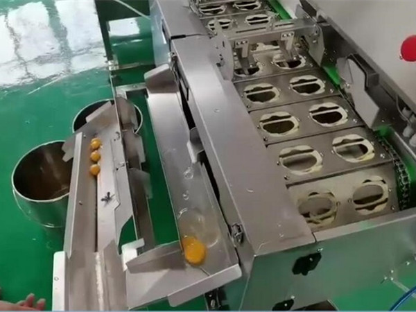 蛋清蛋黃分離機