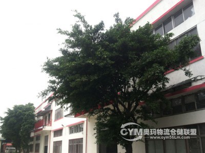 廣東-廣州-白云區倉庫出租