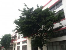廣東/廣州/白云區(qū)倉庫出租