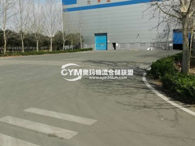 園區寬敞，車輛可以自由停靠