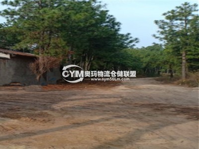 廠房院外的馬路