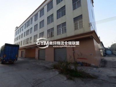 廣東-湛江-廉江市倉庫出租