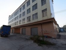 廣東/湛江/廉江市倉庫出租