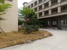 廣東/中山/東區(qū)街道倉(cāng)庫(kù)出租