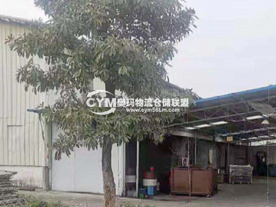 廣東-廣州-黃埔區倉庫出租