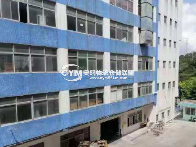 廣東-中山-南區街道倉庫出租