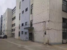 廣東/東莞/企石鎮倉庫出租