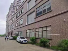 廣東/中山/港口鎮(zhèn)倉庫出租