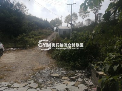 進出大路
