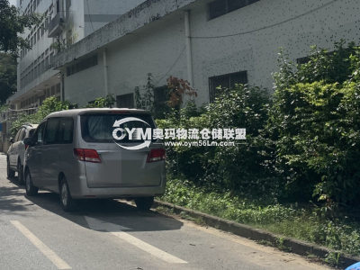 廣東-深圳-南山區倉庫出租