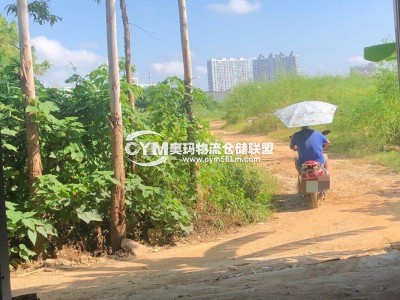進出大路