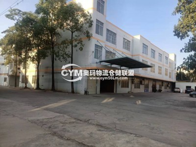 廣東-東莞-望牛墩鎮倉庫出租