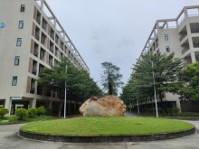 廣東/東莞/大嶺山鎮倉庫出租