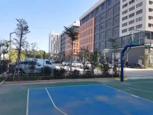 廣東/東莞/麻涌鎮倉庫出租