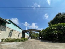 浙江/嘉興/平湖市倉庫出租