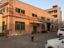 廣東/東莞/大嶺山鎮倉庫出租