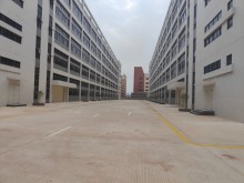 廣東/河源/源城區倉庫出租