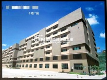 廣東/中山/港口鎮(zhèn)倉庫出租