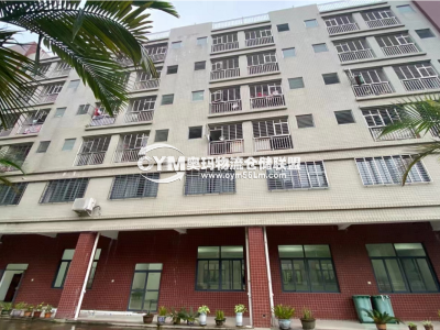 福建-泉州-晉江市倉庫出租
