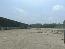 廣東/東莞/大嶺山鎮倉庫出租