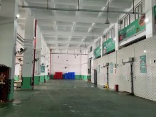 廣東/廣州/番禺區倉庫出租