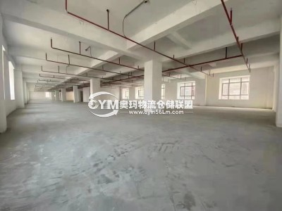 廣東-揭陽-普寧市倉庫出租