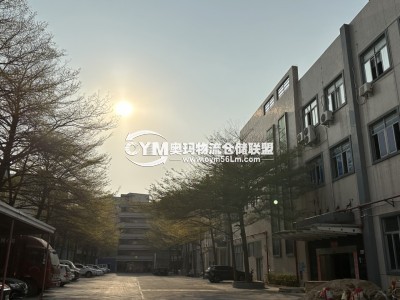 廣東-東莞-鳳崗鎮(zhèn)倉庫出租