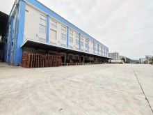 廣東/東莞/鳳崗鎮倉庫出租