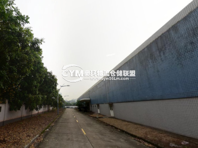 廣東-廣州-荔灣區倉庫出租