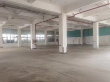 福建/廈門/海滄區(qū)倉庫出租